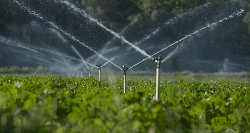 Landscape Irrigation