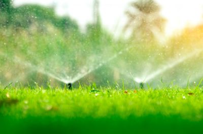 Residential and Commercial Sprinkler Services
